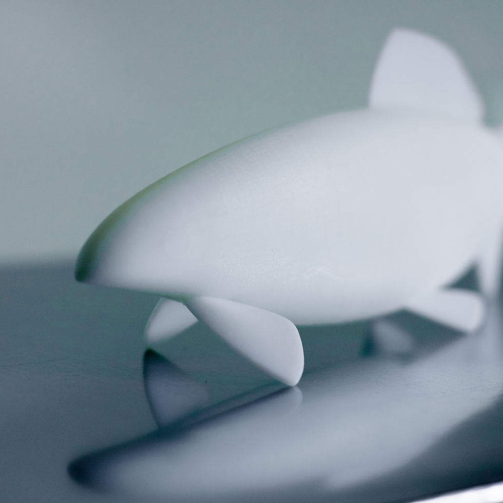 サムネイル： 魚象_Ayu_4/33,白 25cm