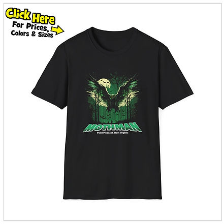 Mothman Point Pleasant West Virginia.jpg