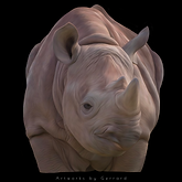 Rhino Brown.png