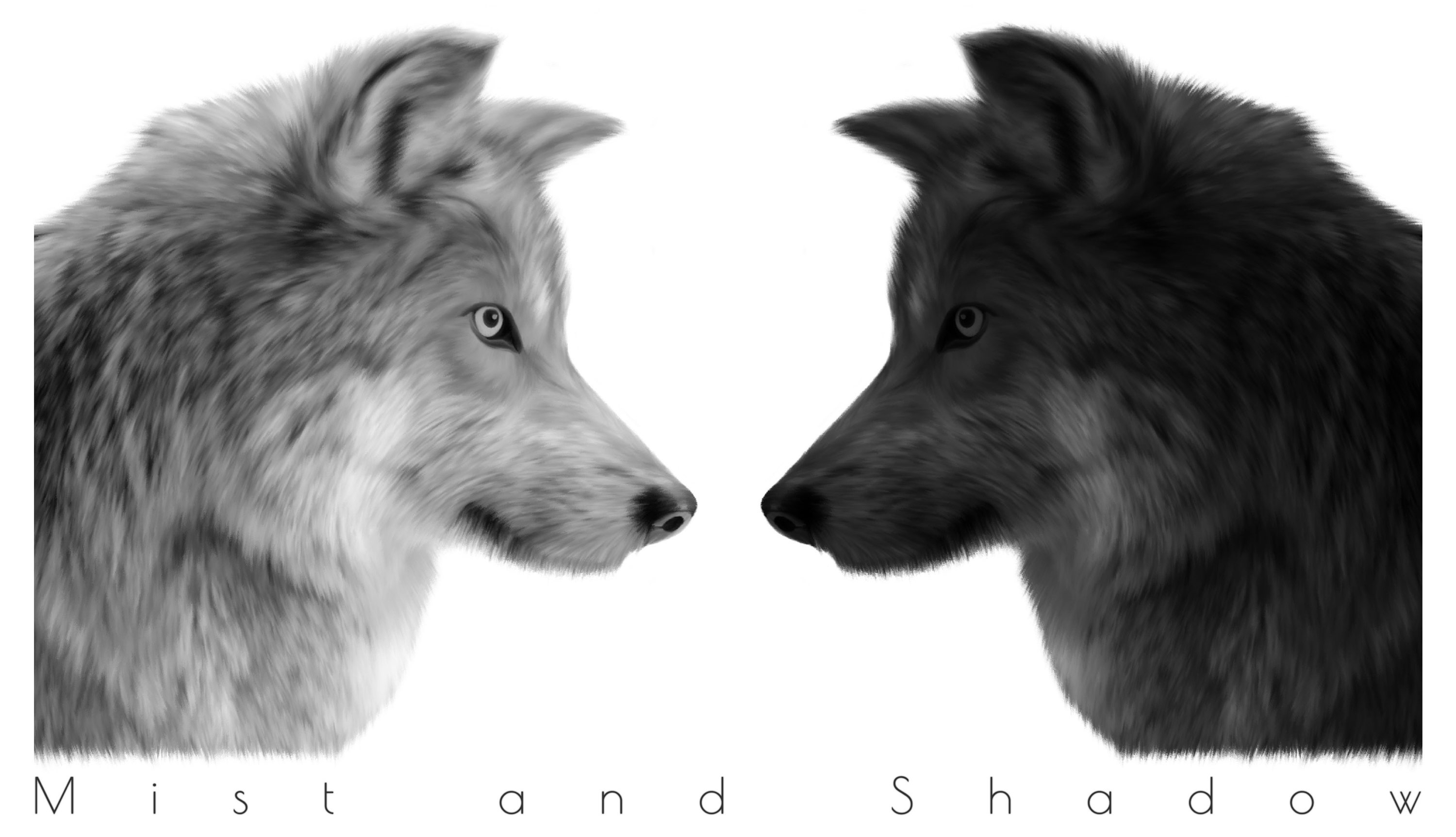 Writer: Mist and Shadow