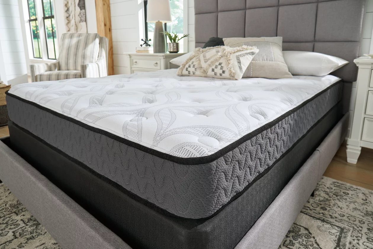 SHOP | Jackson Habitat