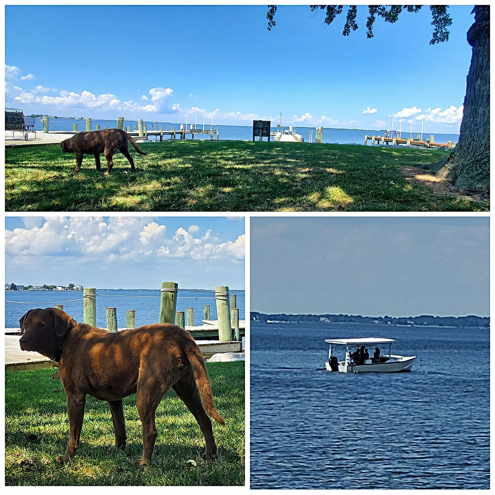 Eastern Shore of Maryland