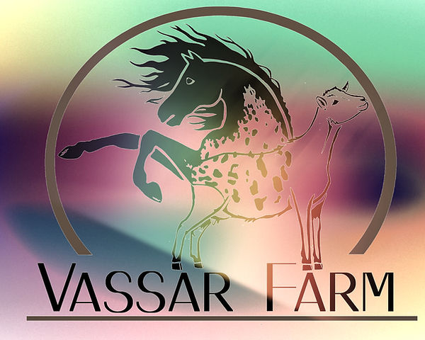 Updated-Vassar-Farm-Logo-2-web_edited_edited.jpg