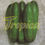 Miniatura: Cucumber F1 Basma