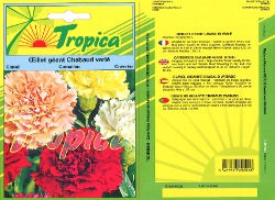 Miniatura: Carnation Chabaud Giant Mixed