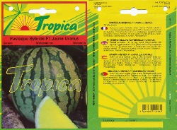 Thumbnail: Watermelon F1 Yellow Uranus