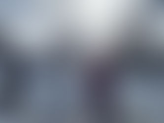 Winterwonderland!  Unsere Fasanenkinder brauchen noch keinen Frühling und genießen den Schnee!