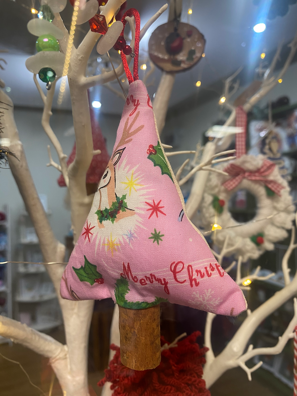 20241119_141816349_iOS