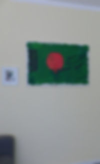 P1010675_edited.jpg