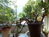 P1010693.JPG