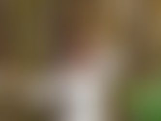 My First Therapy Session Experience