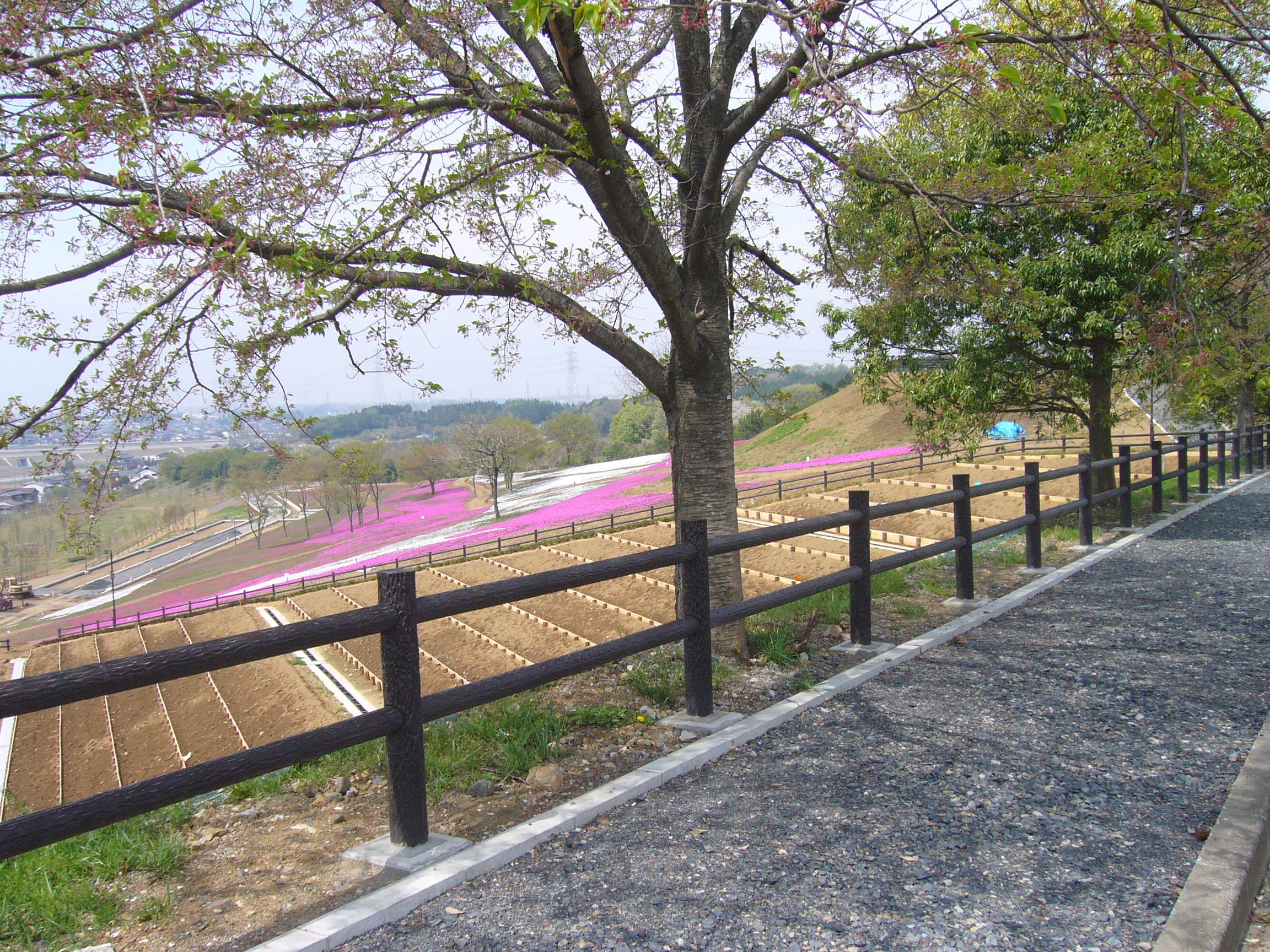 横木柵120 | yamamu