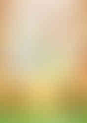 The Bear Mission - Children's Book Illustration