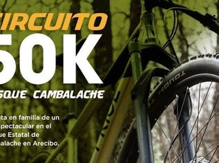 Resultados de Circuito 50K Bosque Cambalache