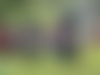 Resultados 5to Reto Hacienda Sabanera