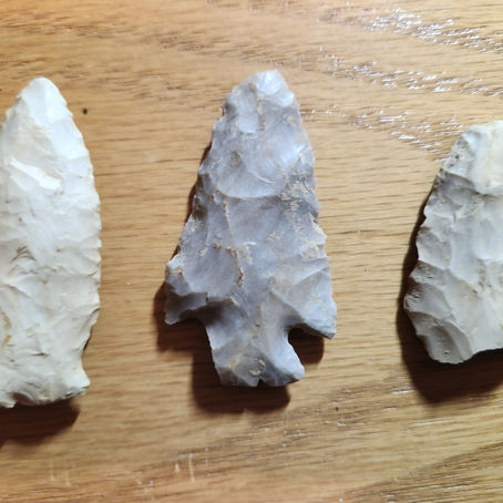 Chapter 3: The Alpha Lithos Theory by the Modern-Day Mountain Man