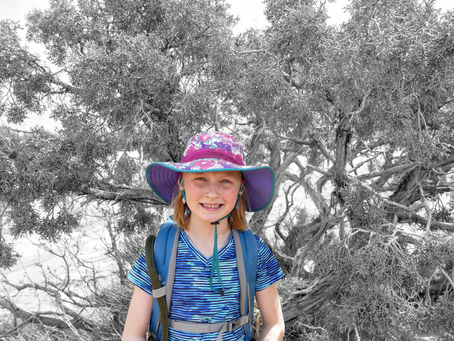 Thoughts of Mrs. Modern-Day Mountain Woman Chapter 15