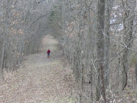 Thoughts of a Mrs. Modern-Day Mountain Woman Chapter 50