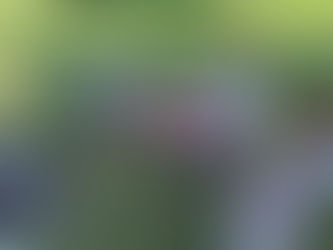 Thoughts of a Mrs. Modern-Day Mountain Woman Chapter 14