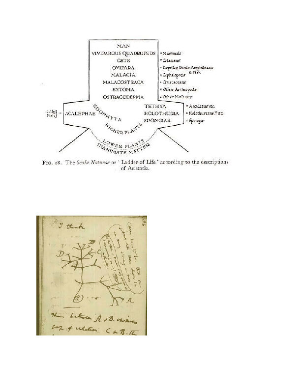 2,000 Years Old and It's Still Rank Plagiarism