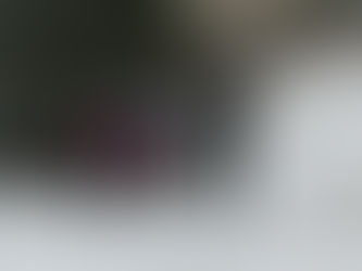 Thoughts of a Mrs. Modern-Day Mountain Woman Chapter 5