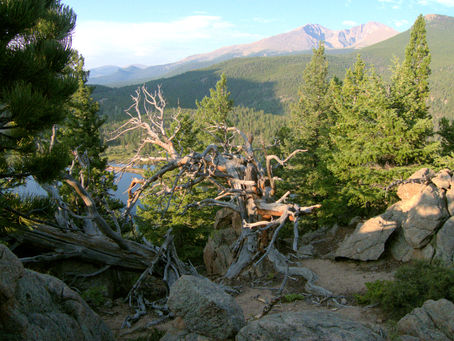 Thoughts of a Modern-Day Mountain Man:A Field Guide to Leadership in the Great Outdoors Chapter 44