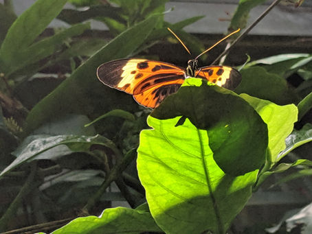 Thoughts of a Mrs. Modern-Day Mountain Woman Chapter 27