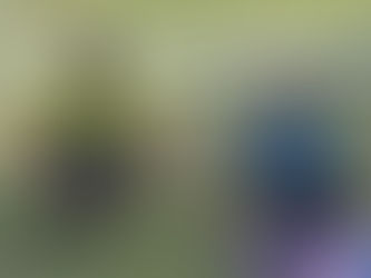 La conexión neuromuscular durante tu entrenamiento