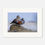 Thumbnail: Harlequin Duck Pair (Sea Ducks)