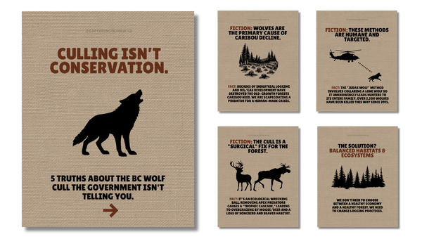 Download the social media graphics