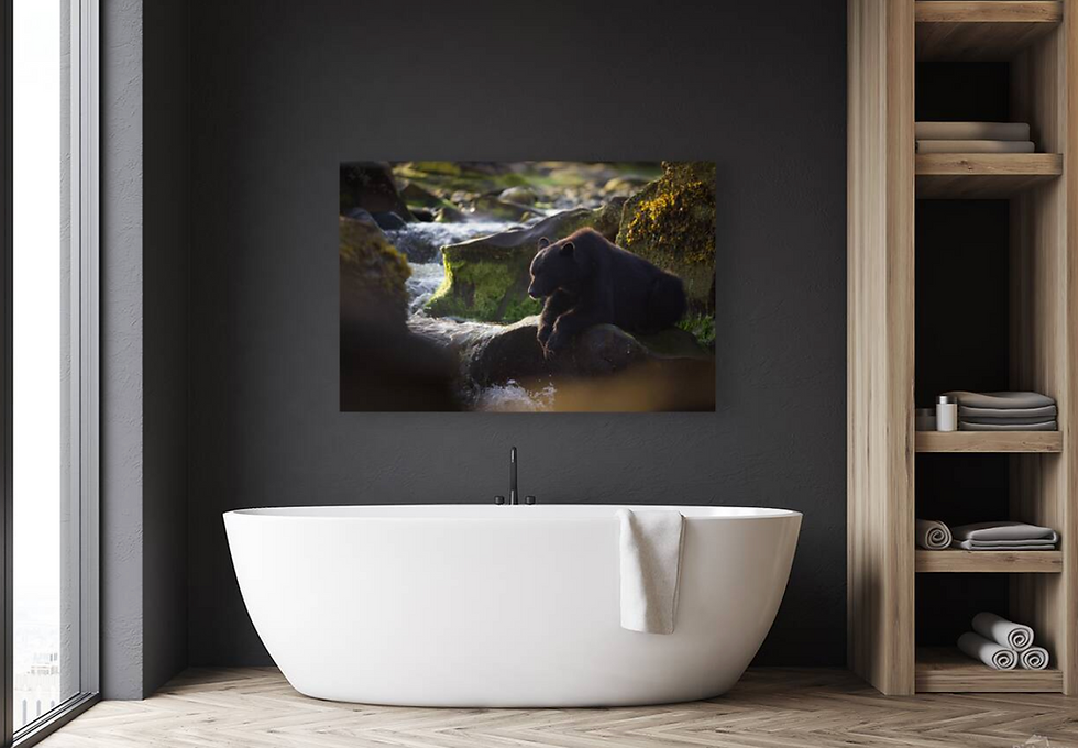 Screenshot 2026-04-03 at 4.28.39 PM.png