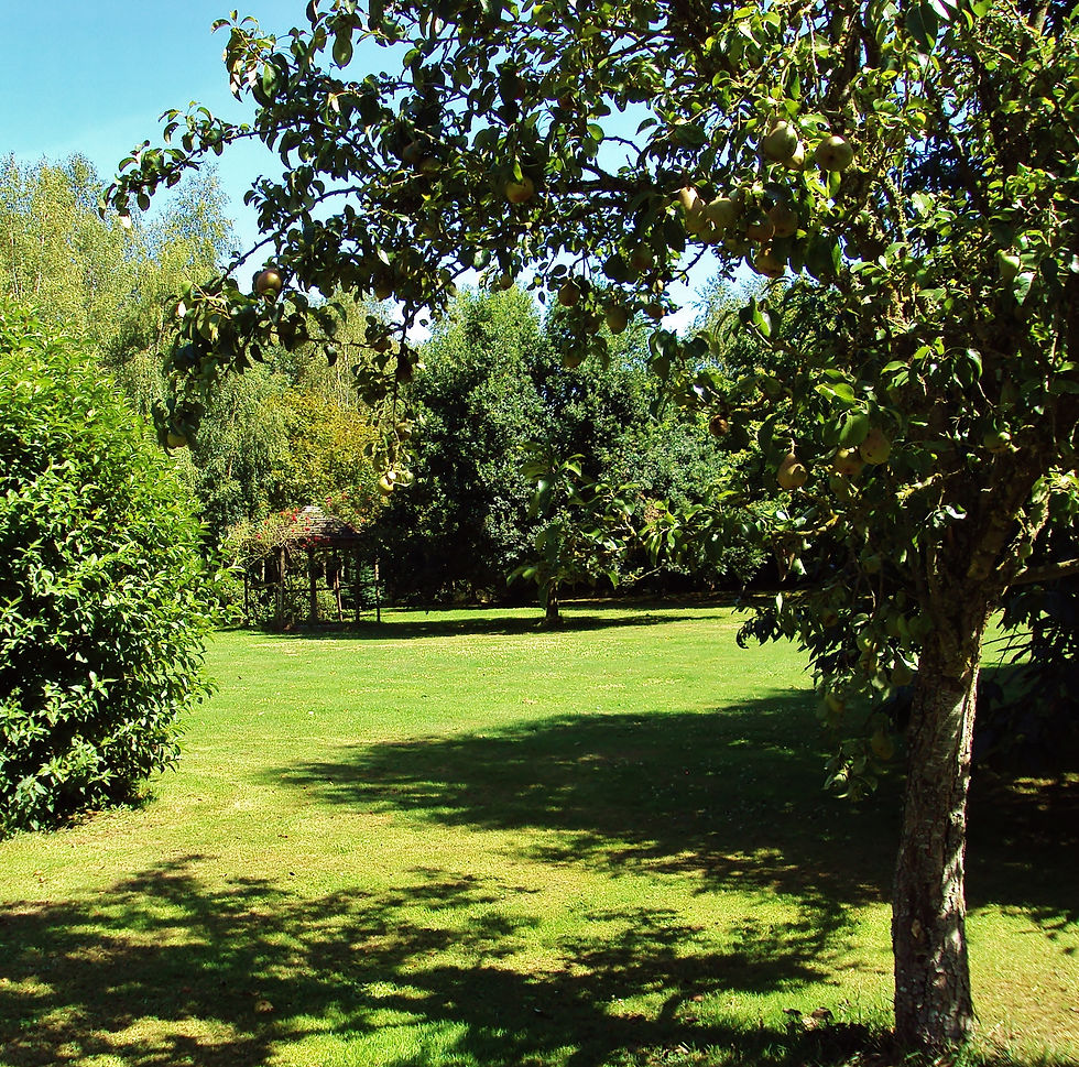 Parc arboré