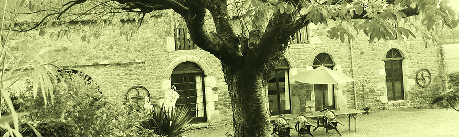 DSC03182+-+Copie_edited_edited.jpg