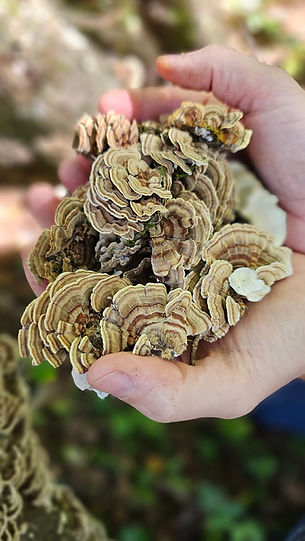 20250918_123237 (1).jpg