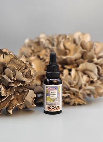 maitake bio extrait liquide par la Villa Hélène