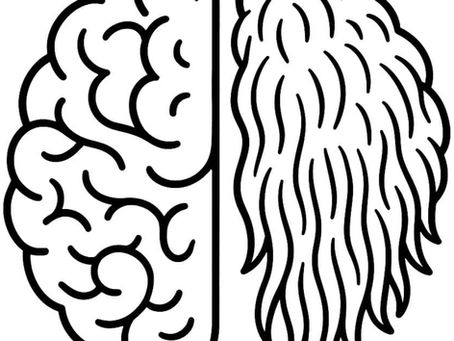 effets du lion's mane sur le cerveau