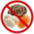 Cordyceps, lion's mane et coriolus sont concernés par le statut Novel Food.