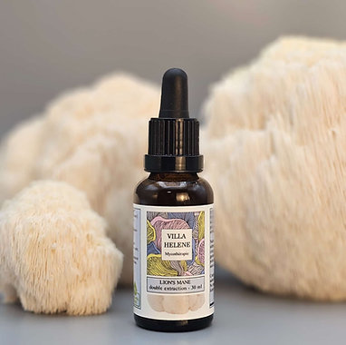 Extrait de Lion's Mane bio - 30ml