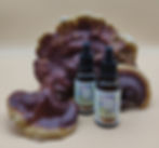 extrait de reishi bio devant un carpophore en culture artisanale