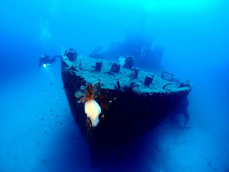 Scuba Diving A form of meditation where every breath is deliberate, and every movement is purposeful