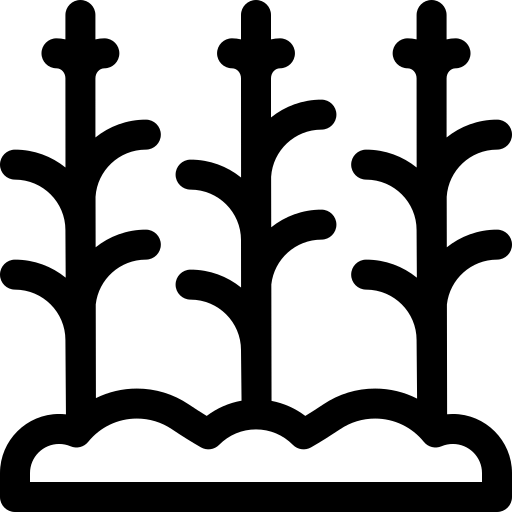 Icone Trigo