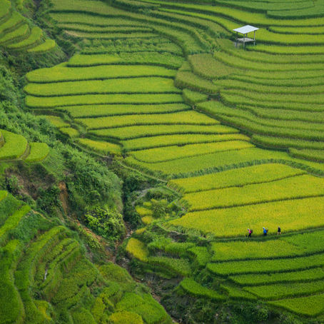 The 5 Best Places to Teach English in Asia in 2025
