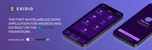 Exidio Digital Ad Design