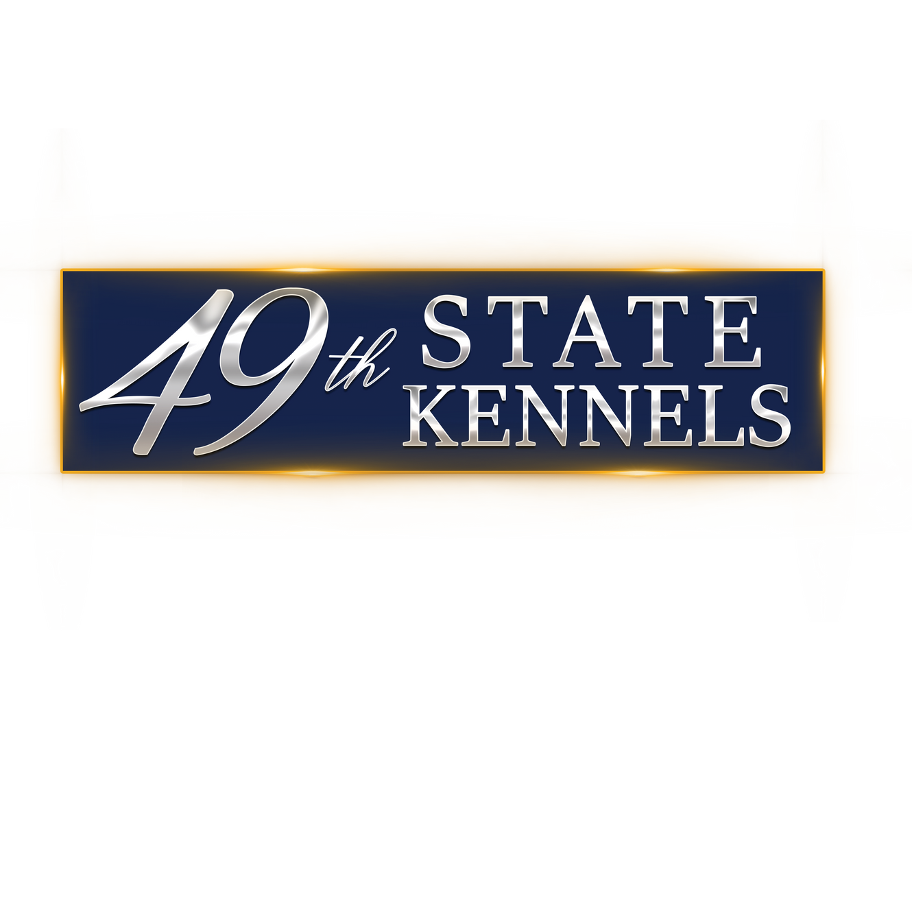 Dog Leashes And Collars 49th State Kennels