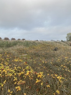 Wohnmobilstellplatz in Ystad