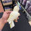 Thumbnail: Hand Carved Natural Gemstone Cockatoo Figurine (25 CM)