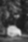 4D1A0140_edited.jpg