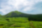 STARR26 KYUSHU: Walk & Talk