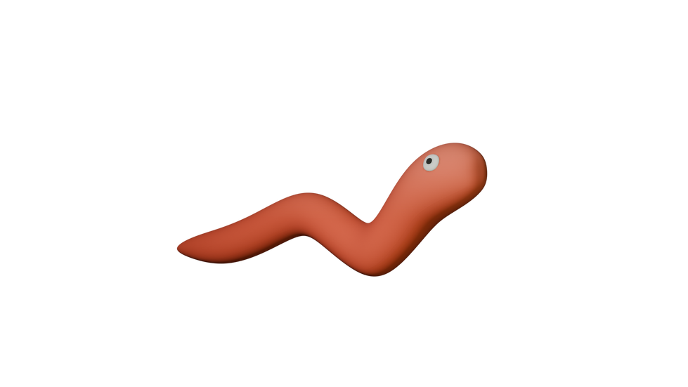 worm