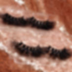Thumbnail: "THICKNESS" Lashes
